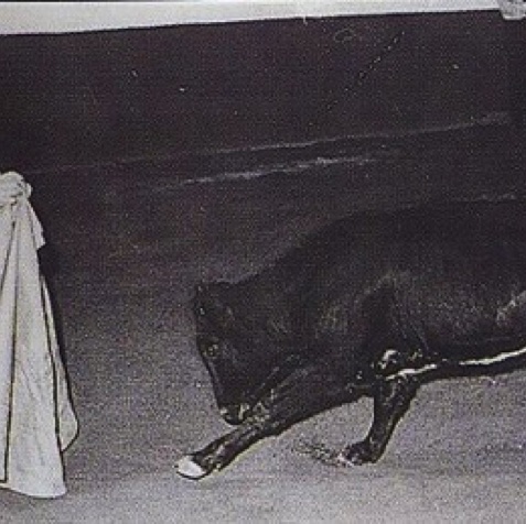 jctorero014.jpg jctorero014.jpg