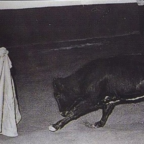 jctorero014.jpg jctorero014.jpg