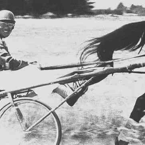 Jim essayait tout ! Jim essayait tout !